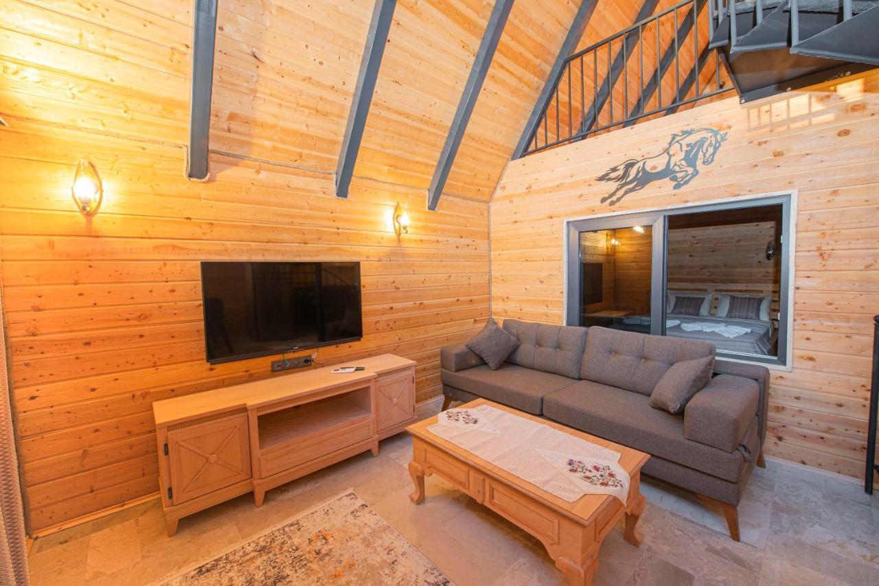 Sea Hill Faralya Villa Fethiye Kültér fotó